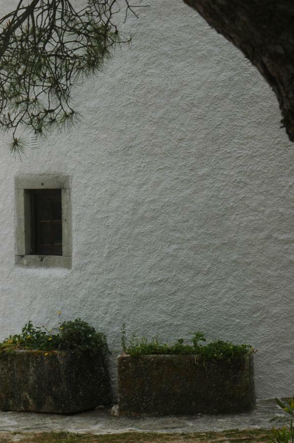 Villa Moinho Do Avo To Rio Maior Exterior foto
