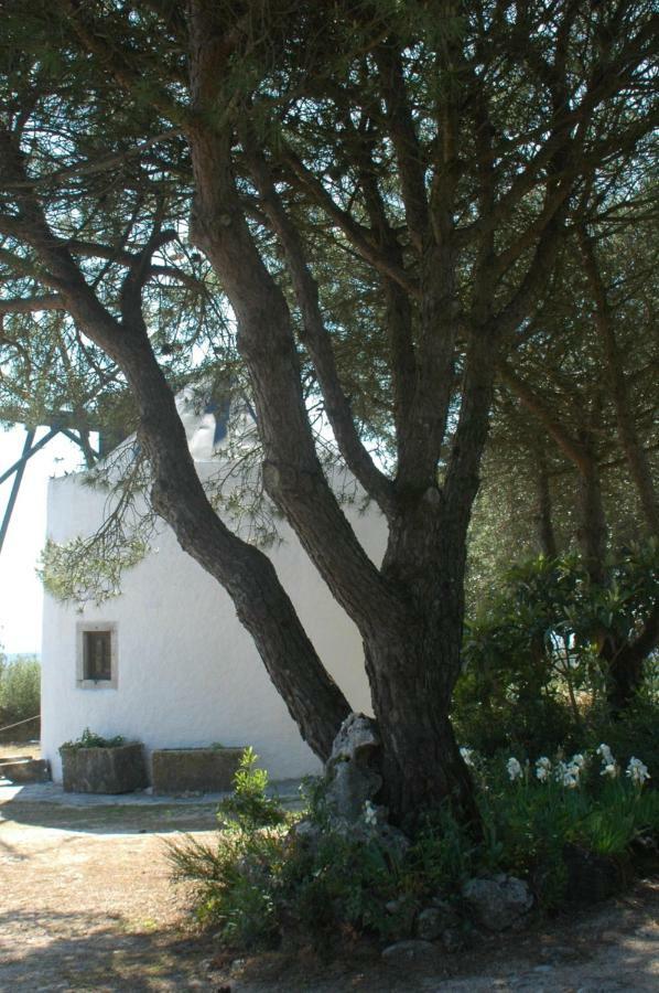 Villa Moinho Do Avo To Rio Maior Exterior foto
